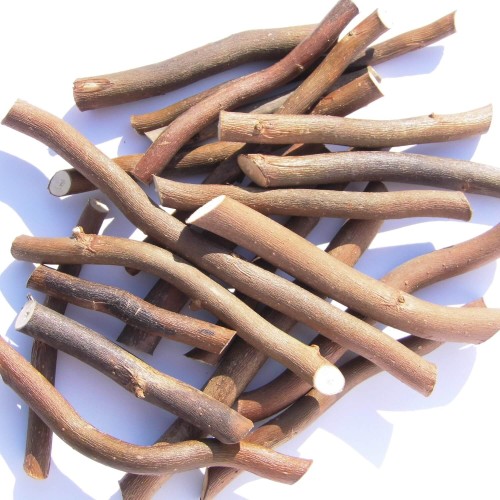 Naturmaterial zum Basteln